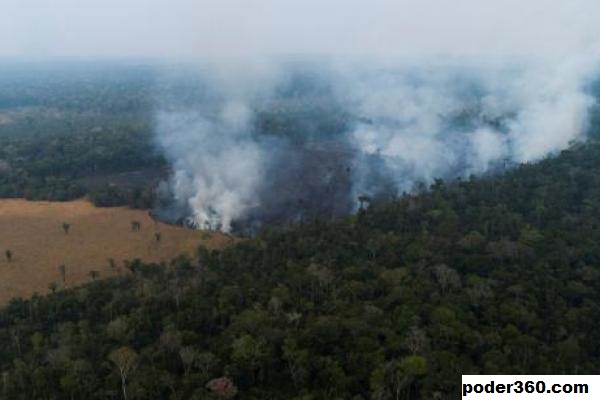Mengapa Deforestasi di Amazon Brasil Melonjak ke Level Tertinggi Dalam 15 Tahun