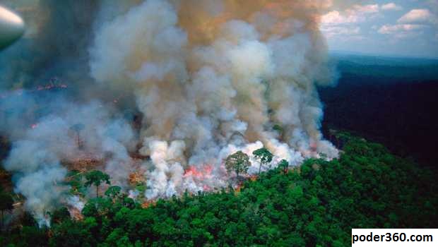 Deforestasi Amazon Amerika Selatan Melonjak ke Terburuk Dalam 15 Tahun